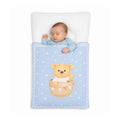 Premium Newborn Carry Nest Special Bundle Deal