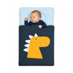 Premium Newborn Carry Nest Special Bundle Deal